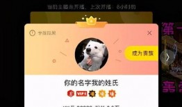 YY最新八卦爆料,明星私生活大揭秘，幕后故事令人震惊