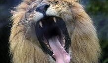 金州热点爆料事件最新,最新事件引发社会关注